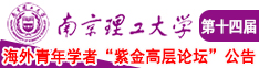 女生小穴被操网站南京理工大学第十四届海外青年学者紫金论坛诚邀海内外英才！